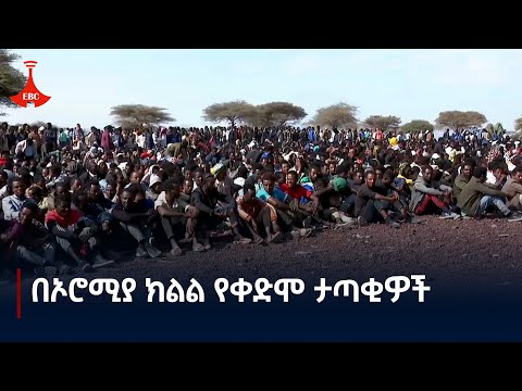 በኦሮሚያ ክልል ለቀድሞ ታጣቂዎች የተሃድሶ ስልጠና መሰጠት ጀመረ  Etv | Ethiopia | News zena