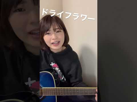 【弾き語り】ドライフラワー/優里【伊藤綾佳】