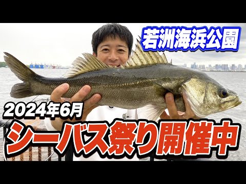 【若洲海浜公園】60cmシーバスが簡単に釣れる！いま湾奥が熱い！