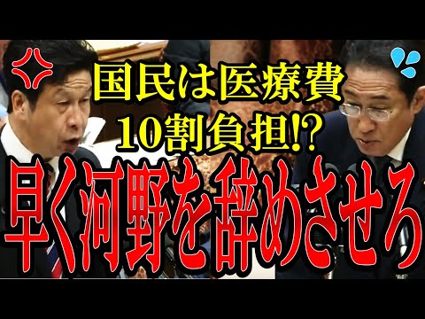 【辞職させろよ!】逃げ続ける河野大臣に辞職を要求する米山議員。米山「総理も河野もここまで問題を作った責任取れよ！」【#国会中継 】【#マイナ保険証 】