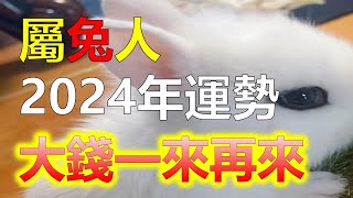 屬兔之人，2024年運勢如何？屬兔人會有貴人出現嗎？屬兔人迎來哪些大變，屬兔人在2024年的運勢中，屬兔人這份善良，屬兔人默默地付出，屬兔人日子會好起來，屬兔人2024年是充滿喜事的一年，十二生肖兔