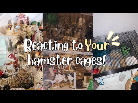 Reacting to my Subscriber's Hamster Cages!