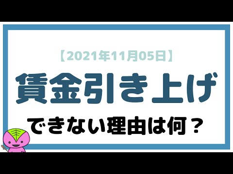 【2021年11月05日】賃金引き上げ企業への税制優遇を拡充...について疑問に思うこと【新しい資本主義実現会議】