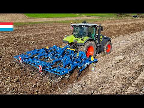 Flat cultivation of maize stubble | Treffler TGA 560 // Claas Arion 650 | Luxembourg 2024