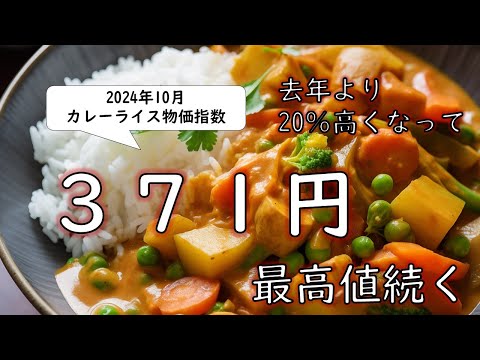 【悲報】2024年10月カレーライス物価指数🍛過去最高を7か月連続更新　#カレーライス  #お金 #値上げ #値上げラッシュ #物価高 #物価上昇