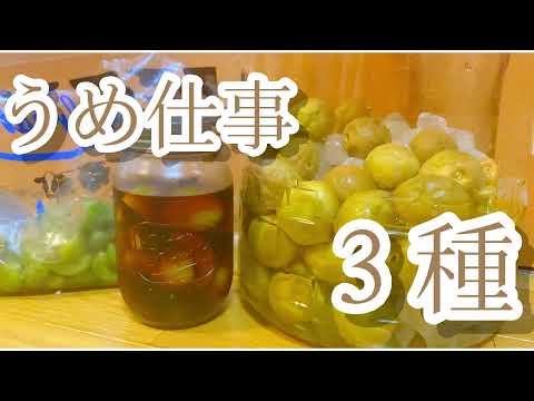 【季節の手仕事】うめ3種【梅シロップ 梅醤油カリカリ梅】