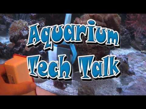 Polish Scratches Out of Acrylic Aquarium, LA Fishguys Tech Talk Episode 149, part 1