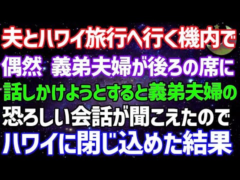 【スカッとする話】夫とハワイ旅行へ行く機内。後ろの席に偶然、義弟夫婦が…。話かけようとすると、私たち夫婦について話していて…その内容が恐ろしすぎて帰って来れぬ様ハワイに閉じ込めてやった結果