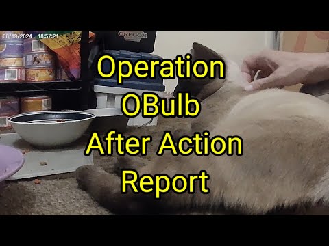 (1572) Operation OBulb After Action Report