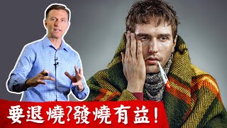 千萬不要急退燒？發燒有益與自然療法,不同體溫的處理 , 柏格醫生dr berg