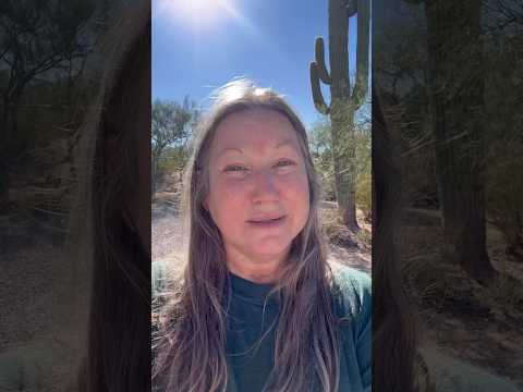 My first tarantula all year. Tucson, Arizona. Desert life.