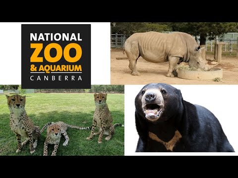 National Zoo and Aquarium in Canberra