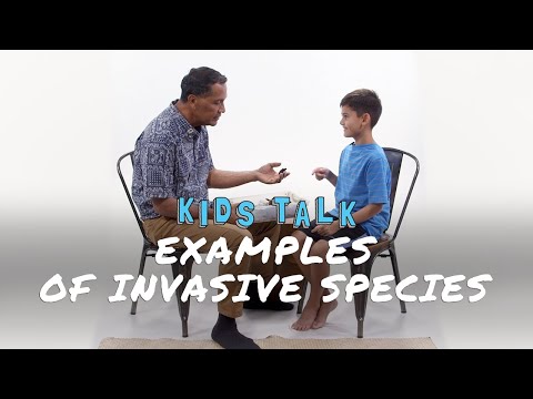 Nihi! KIDS TALK Examples of Invasive Species | KIDS TALK | Nihi!