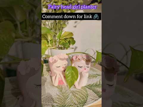 Fairy planters pot #meeshohaul #meeshoapp #meesho #homedecorideas #viralshort #ytshort #decor