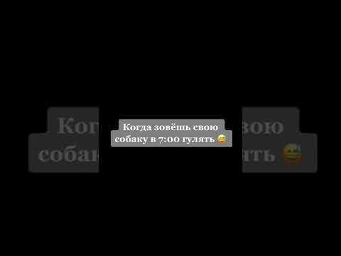 КОГДА ЗОВЁШЬ СВОЮ СОБАКУ ГУЛЯТЬ В 7 УТРА