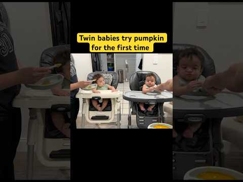 Twin babies eat pumpkin for the first time #funny #raisingtwins #teinbabies￼