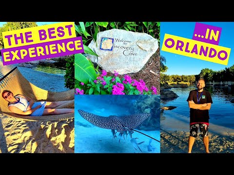 Discovery Cove Vlog - One Of The *BEST* Experiences In Orlando - Full Review And Tour