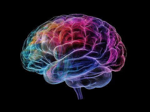 Programming the Brain to Learn Without Teaching