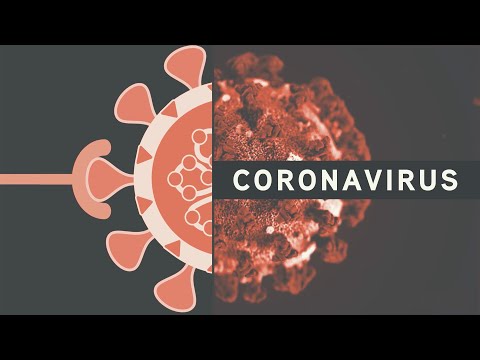 Studying Coronaviruses: Vectors to Vaccines