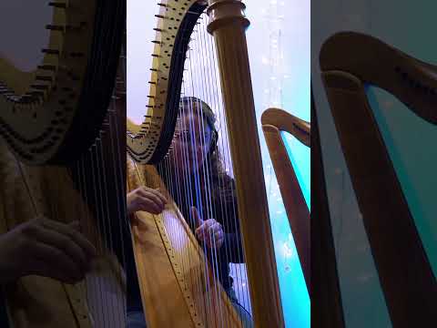 Born on a New Day  #harp #kingssingers