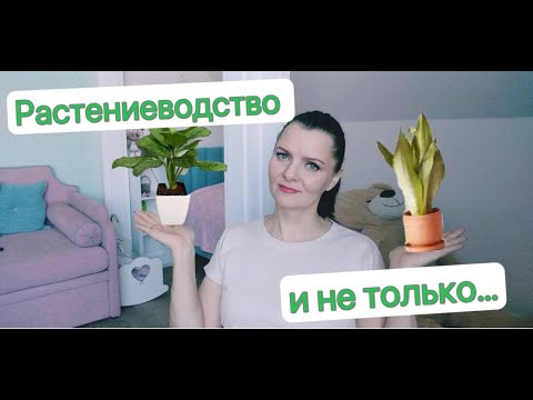 Растениеводство. Как я к этому пришла. Рассуждения о трезвой жизни.