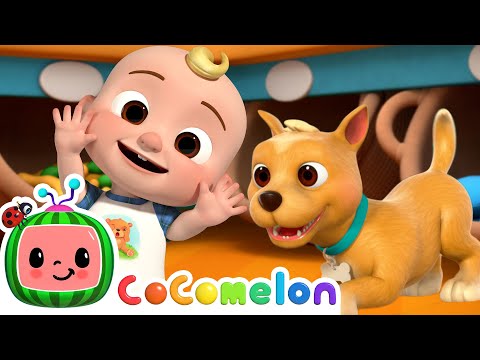 JJ’s Magic Words & Pet Store Fun! | 🍉 CoComelon - JJ's Baby Songs 🎶