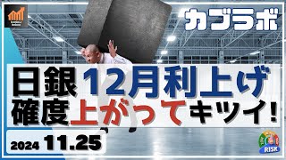 【カブラボ】11/25 日銀の12月利上げの確度がジリジリ上昇！そうなると日本株の上値は重い！