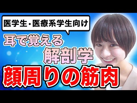 【解剖学】覚えにくい解剖学の顔周囲の筋肉について