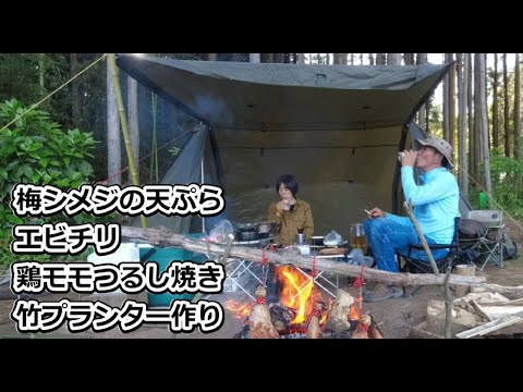 キャンプ 梅シメジ天ぷら 鶏モモつるし焼き エビチリ 竹プランター作り ５年物の梅酒 のんびり二人キャンプ