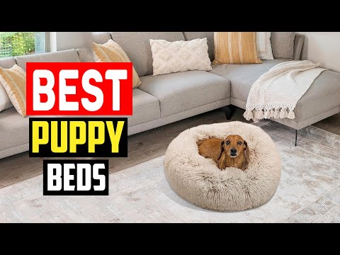 ✅Top 5 Best Puppy Beds for New Dogs To Curl Up