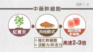 醫療展新猷 自體脂肪間質幹細胞治療巴金森