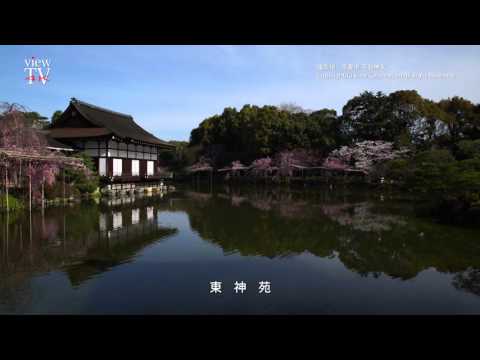 [KYOTO viewTV-63] 平安神宮 神苑の春（京都市） "Heian Jingu, Spring in the Shrine Garden" Kyoto City, 4K Ultra HD