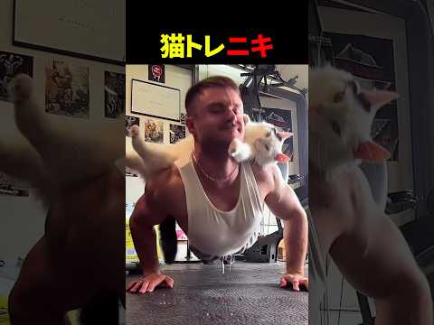 猫好き海外マッチョニキ