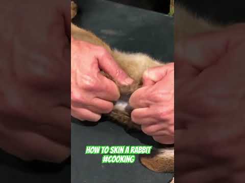 How to skin a rabbit #ozziereviews #rabbitcooking #meat #cooking #howto #meatprocess #rabbit