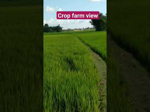 Adventure day tour of farm.#shortsviral #shortsvideo #viral #nature #adventure #beautiful #ytbshort