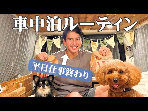 仕事終わりの平日に愛犬と横浜で車中泊して過ごす日のルーティン！