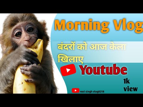 MY FIRST VLOG🔥||MORNING VLOG🌄 BANDERO KO AAJ KELA🍌 KHEELYE🐒#myfirstvlog #my1stvlog #myfirstvlogviral