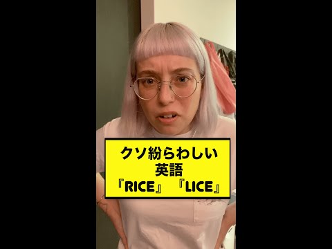 クソ紛らわしい英語『Rice』と『Lice』#shorts13