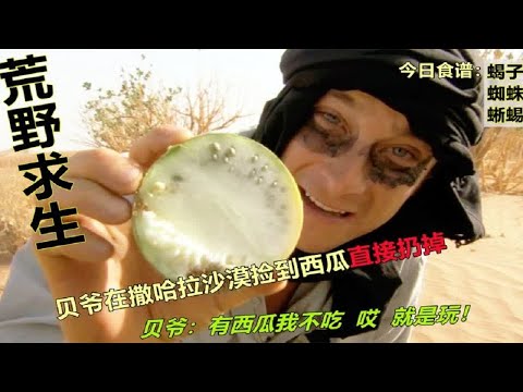 【荒岛求生】贝爷化身大熊猫挑战撒哈拉沙漠，动物们要遭殃了！