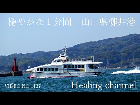 Healing channel　穏やかな１分間　 柳井港　１１３７