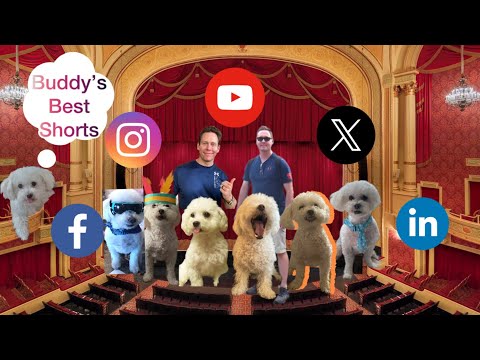 🐶 BUDDY on BROADWAY! 🐶🎭 Fan Favs.