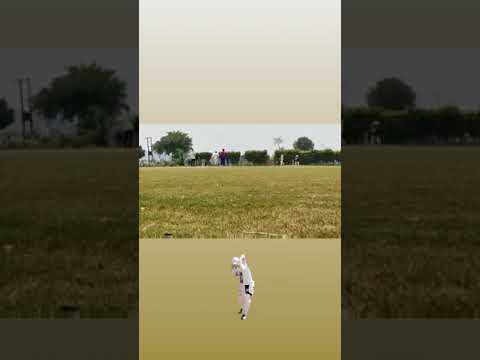 Shot Of The Day | Cricket | Short | #cricket #youtubeshorts #cricketlife #Shortblog