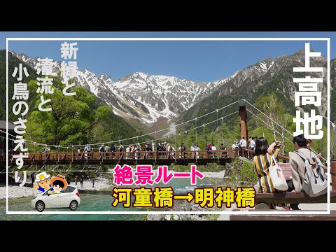 【上高地】河童橋から神域の明神へ。その絶景は、まさに神降地。撮影5/11上高地ハイキングの醍醐味をご紹介。