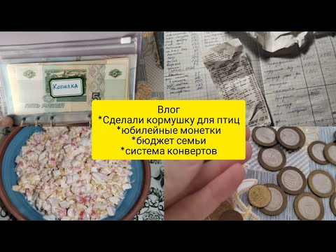 Влог . Бюджет семьи , система конвертов. Сделали кормушку для птиц, юбилейные монеты