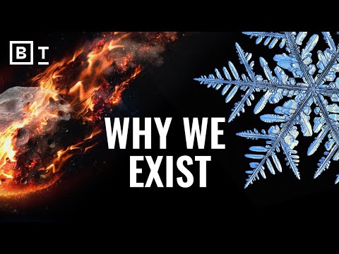 What are the chances of YOU existing? A biologist explains | Sean B. Carroll