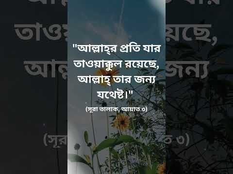 Islamic video #song #love #bangla #obaidullah #arabic #motivation #islamicbackgroundnasheed #live