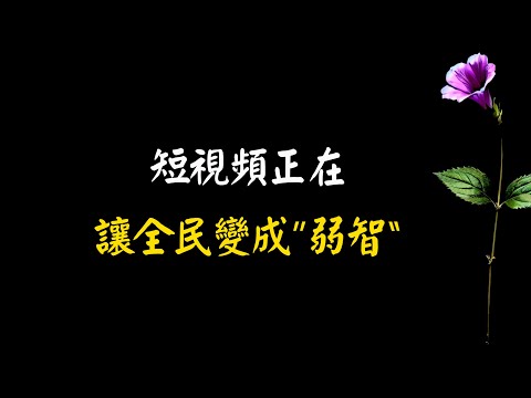 短視頻正在讓全民變成”弱智“