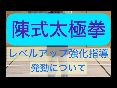 陳式太極拳をレベルアップ強化指導#張紹偉