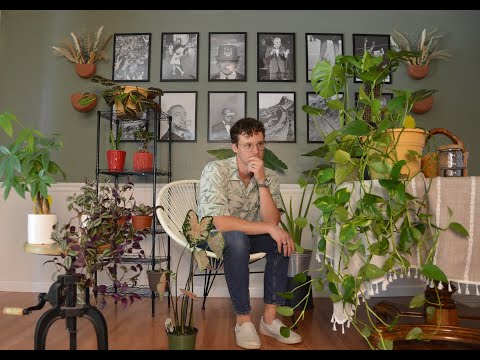 FULL House Plant Tour 2024