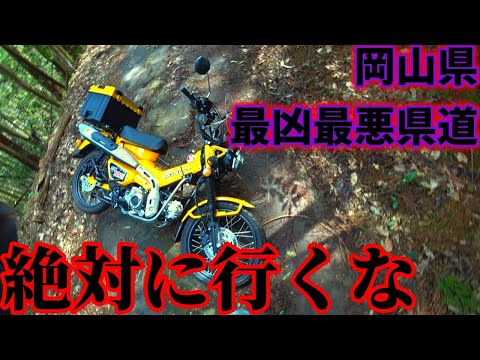 岡山県最凶最悪”険道”・県道455号に果敢に挑み、無事に散りました【HONDA　CT125】